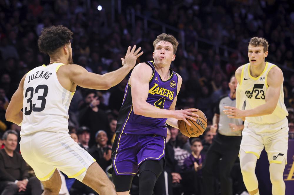 不仅展示了 不仅展示了